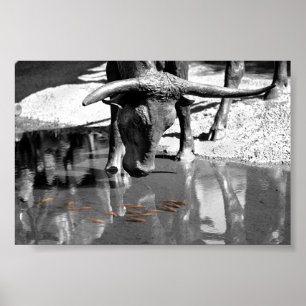 Longhorn und Goldfisch Poster