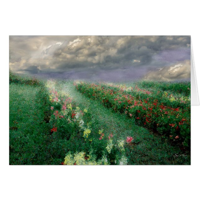 Longview Blume Mindscape (Vorderseite (Horizontal))