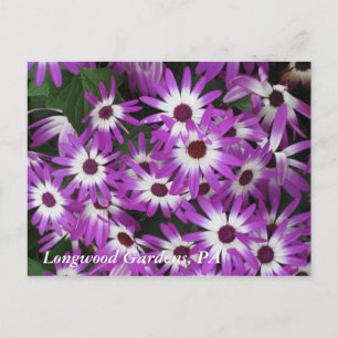 Longwood Gärten, PA Postkarte