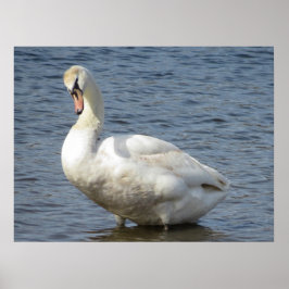 Looking Around Poster