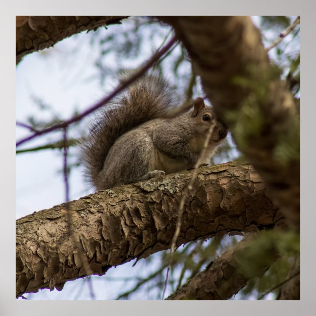 Looking Down Poster (Vorne)