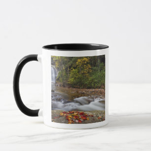 Looking Glass Falls im Pisgah National Tasse