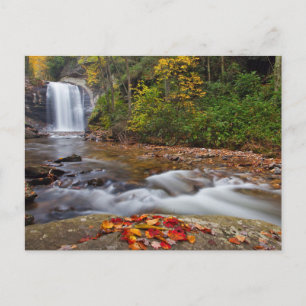 Looking Glass Falls Pisgah National Forest Postkarte