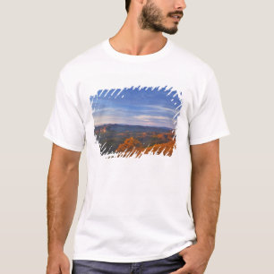 Looking Glass Rock bei Sonnenaufgang in den Pisgah T-Shirt