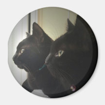 looking out the window