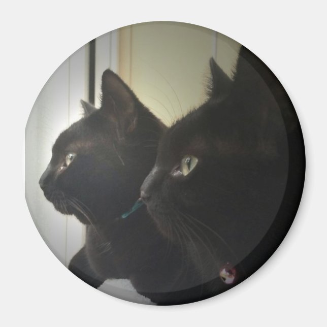 looking out the window magnet (Vorne)