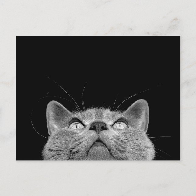 Looking up - Postcard Postkarte (Vorderseite)