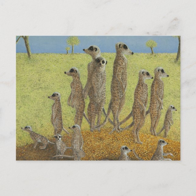 Lookout Postkarte (Vorderseite)