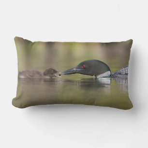 Loon Adult Füttre Chick Lendenkissen