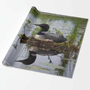 Loon auf Nest-Packpapier Geschenkpapier