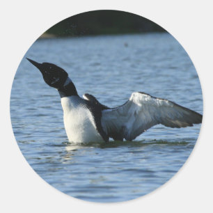 Loon Aufkleber