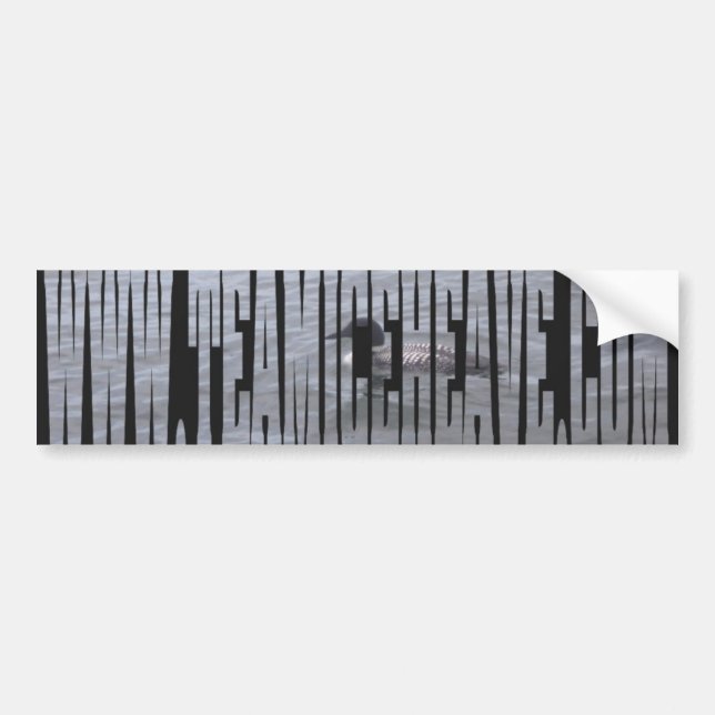 Loon-Autoaufkleber Autoaufkleber (Vorne)