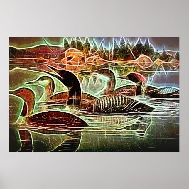Loon Birds Poster (Vorne)