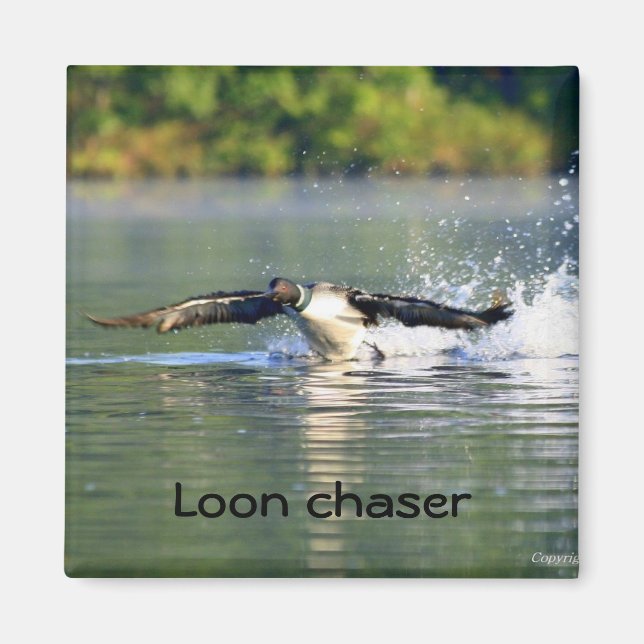 Loon chaser Magnet (Vorne)