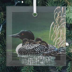 Loon Family Outing Ornament Aus Glas