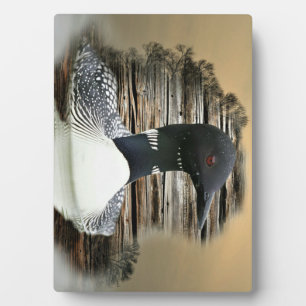 Loon Fotoplatte