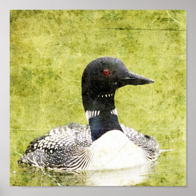Loon Poster (Vorne)