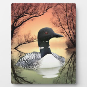 Loon Reflections Fotoplatte