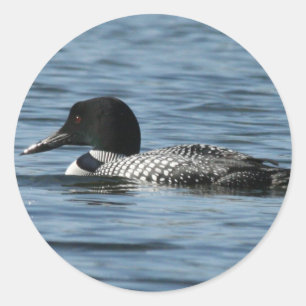 Loon Stickers