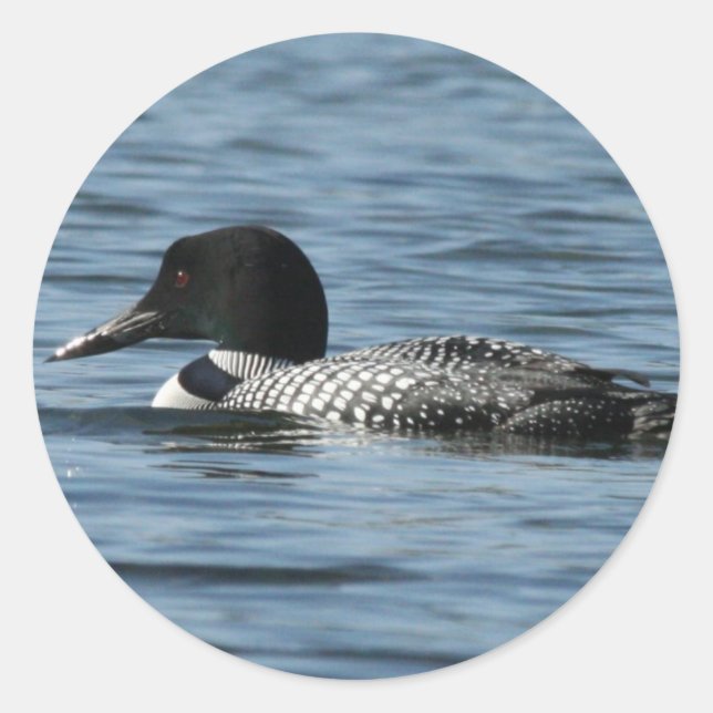 Loon Stickers (Vorderseite)