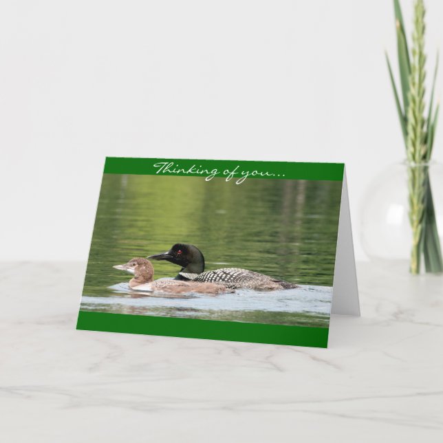 Loon und Baby - denkend an Sie Karte (Vorderseite)