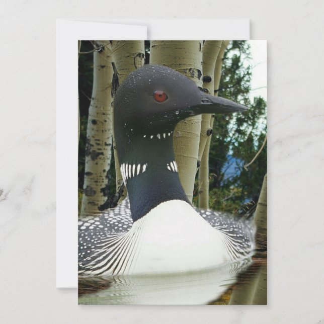 Loon Wilderness Einladung (Vorderseite)