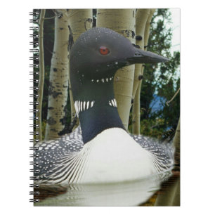 Loon Wilderness Notizblock