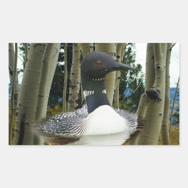 Loon Wilderness Rechteckiger Aufkleber (Vorderseite)