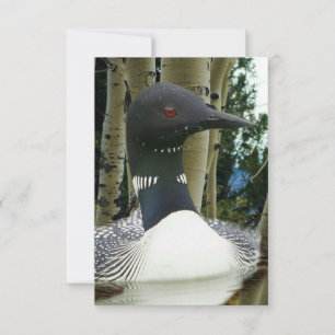 Loon Wilderness Save The Date