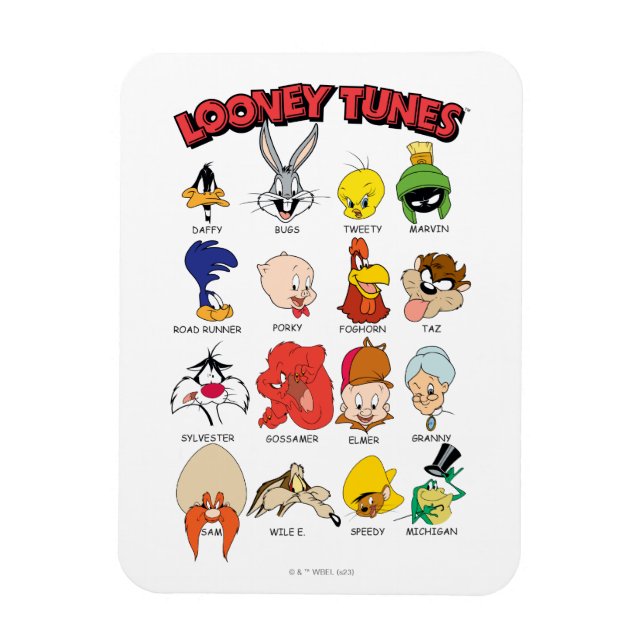 LOONEY TUNES™ Headshots Magnet (Vertikal)