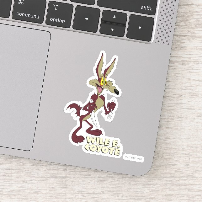 LOONEY TUNES™ Retro-Lachen | WILE E. COYOTE™ Aufkleber (Detail)