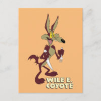 LOONEY TUNES™ Retro-Lachen | WILE E. COYOTE™