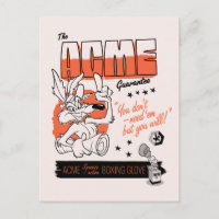LOONEY TUNES™ | WILE E. COYOTE™ ACME Boxhandschuh