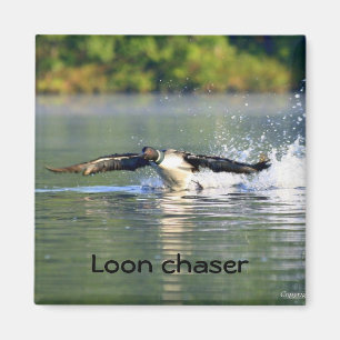 Loongeleitboot Magnet