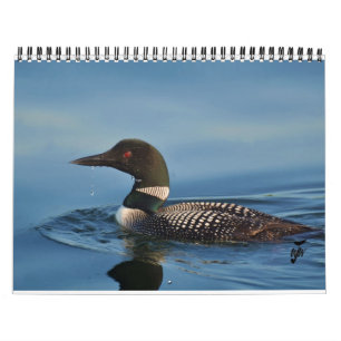 Loons auf dem Rideau Kalender