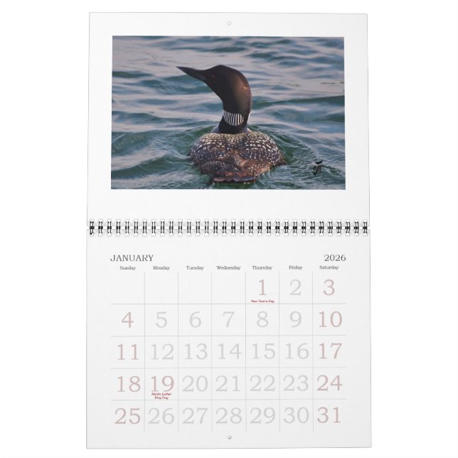Loons auf dem Rideau Kalender (Jan 2026)