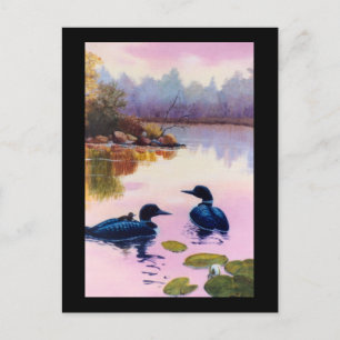 Loons auf der doppelten Postkarte