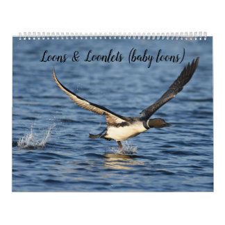 Loons & Loonlets (Babyloons) Kalender