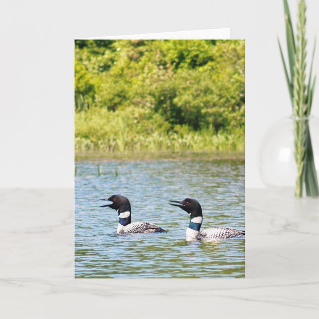 Loons, welche die anderen nennen karte (Vorderseite)