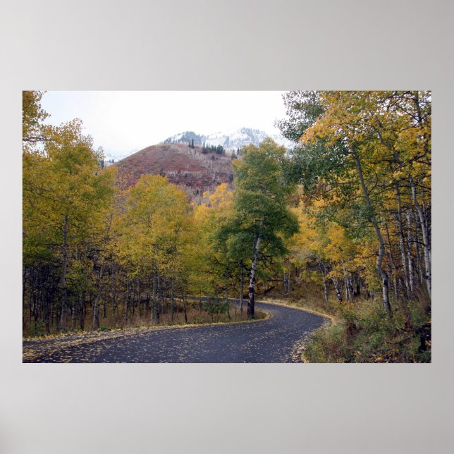 Loop Berg Timpanogos, Utah Poster (Vorne)