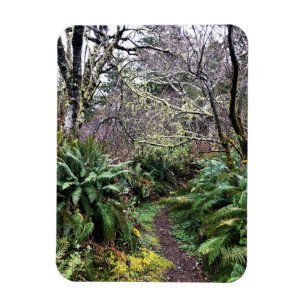 Loop Trail, Cape Enttäuschung, WA Magnet