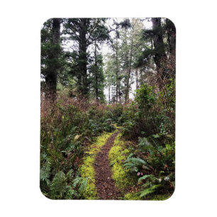 Loop Trail, Cape Enttäuschung, WA Magnet