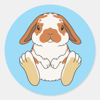 Lop Bunny Sticker Broken Orange