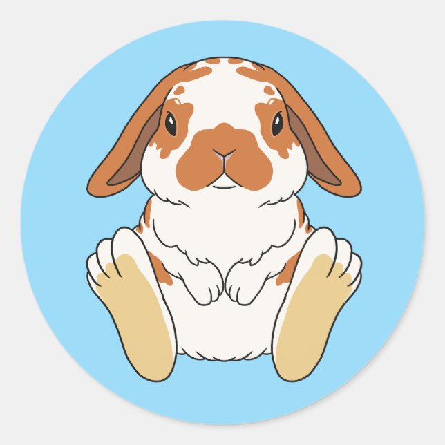 Lop Bunny Sticker Broken Orange (Vorderseite)