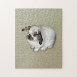 Lop-Eared Bunny Puzzle