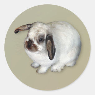 Lop-Eared Bunny Runder Aufkleber
