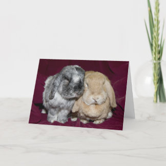 Lop Eared Rabbit Pair Karte