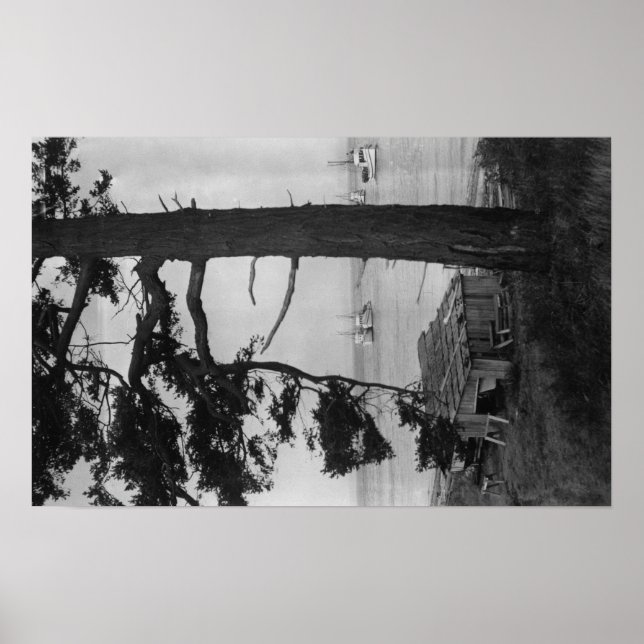 Lopez Island, WA - Fischerboote in der Bucht Poster (Vorne)