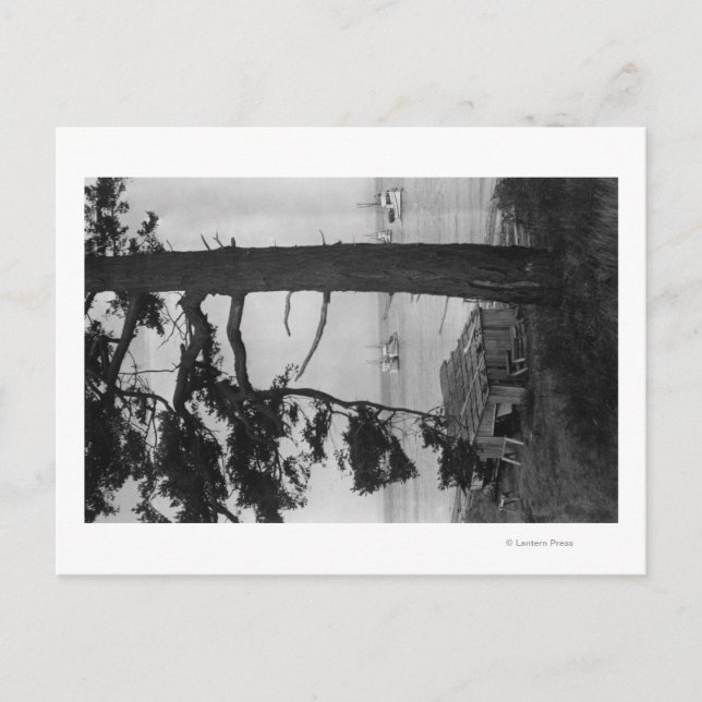 Lopez Island, WA - Fischerboote in der Bucht Postkarte (Vorderseite)