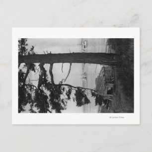 Lopez Island, WA - Fischerboote in der Bucht Postkarte